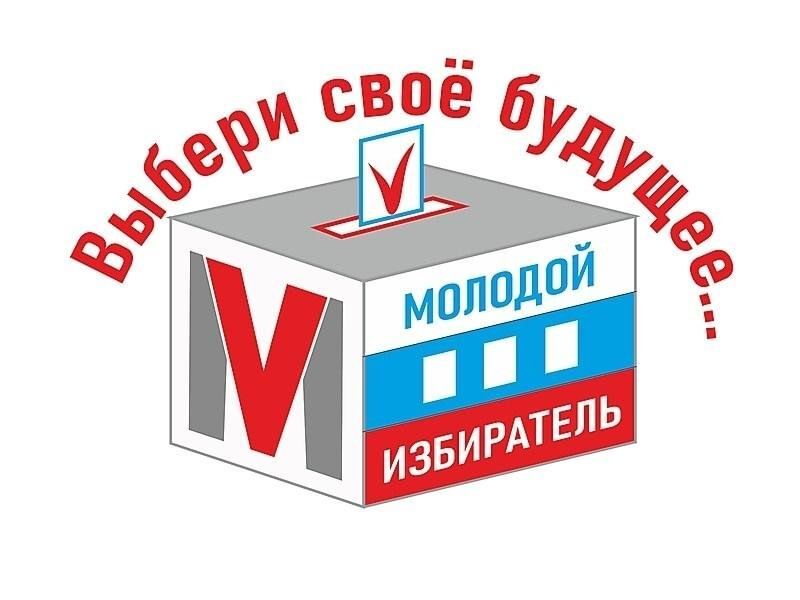 День Молодого Избирателя.