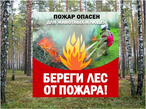 Ландшафтные и техногенные пожары..
